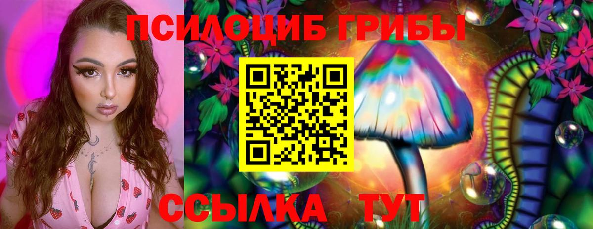 Борисоглебск  Галлюциногенные грибы мухоморы  Вход с VPN 